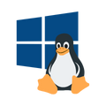 Windows & Linux Distros